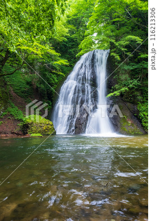 峨瓏の滝(峨瓏大滝) 峨瓏の滝(峨瓏大滝) 116213306