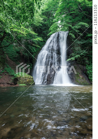 峨瓏の滝（峨瓏大滝） 116213310