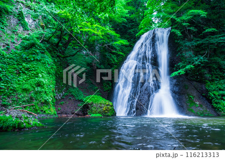 峨瓏の滝（峨瓏大滝） 116213313