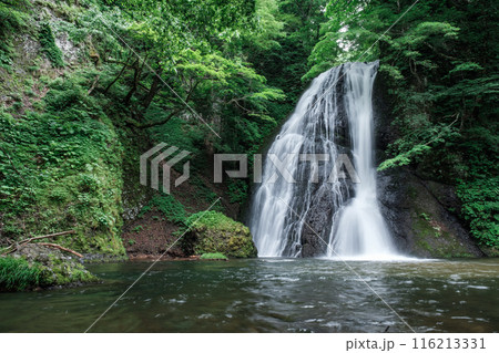 峨瓏の滝(峨瓏大滝) 峨瓏の滝(峨瓏大滝) 116213331