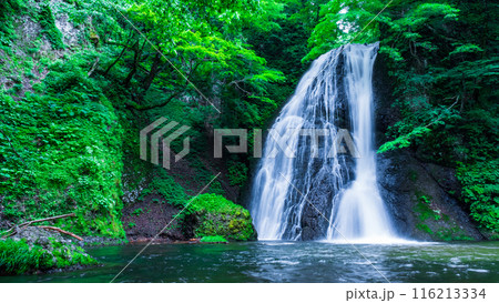 峨瓏の滝（峨瓏大滝） 116213334