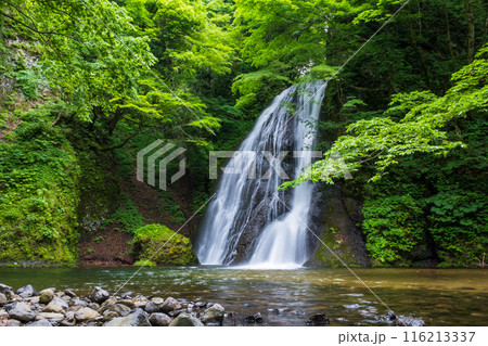 峨瓏の滝(峨瓏大滝) 峨瓏の滝(峨瓏大滝) 116213337