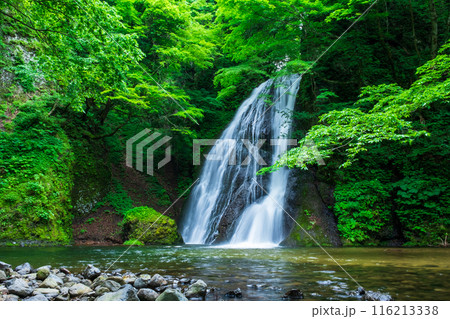 峨瓏の滝（峨瓏大滝） 116213338