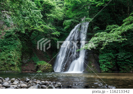 峨瓏の滝（峨瓏大滝） 116213342