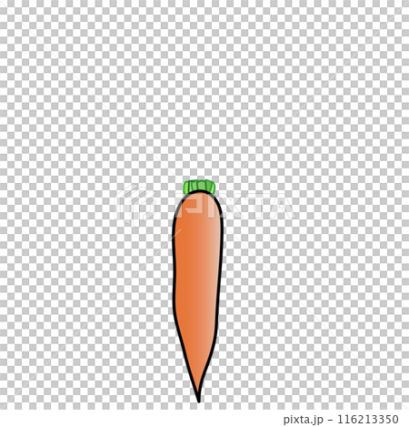 Carrots illustration 116213350