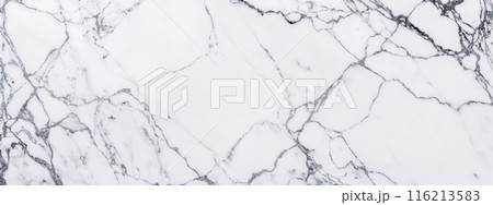 Premium White Marble Surface Detail, Highlighting Sophisticated Grey Vein Patterns, Interior Design Project, Offering Luxurious Natural Stone Background Texture 116213583