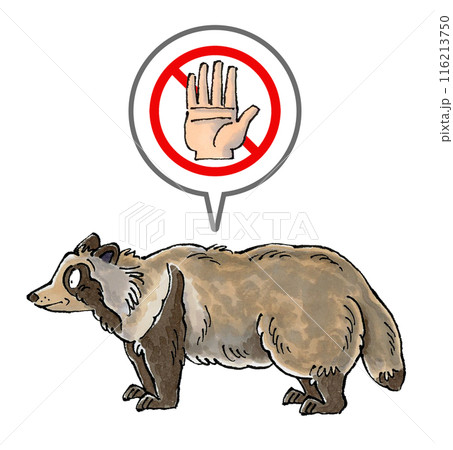 タヌキを触るな禁止マークのイラスト素材 [116213750] - PIXTA