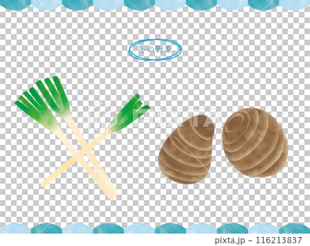 手寫冬季蔬菜-蔥和芋頭 手寫冬季蔬菜-蔥和芋頭 116213837