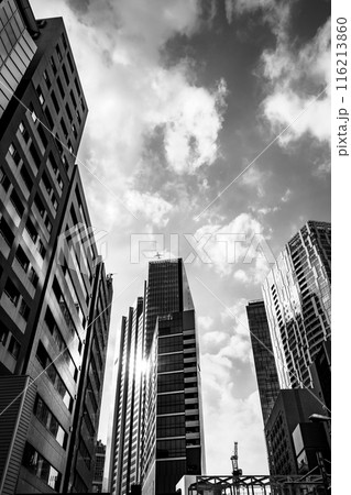 東京の街並み 再開発後の渋谷駅桜丘口周辺 2024.06　b-5 モノクロ 116213860