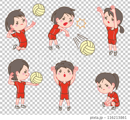 女子排球 116213861