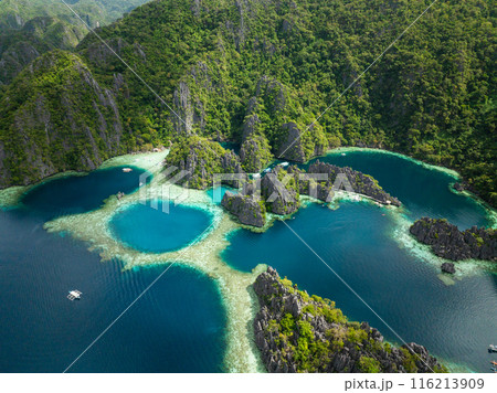 Green Lagoon and Twin Lagoon with tourist boats and limestone rocks. Coron, Palawan. Philippines. 116213909
