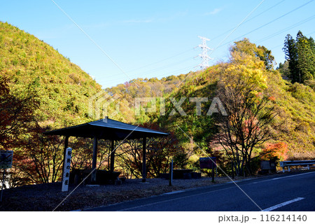 那倉川渓谷へ行きました　＃54 116214140