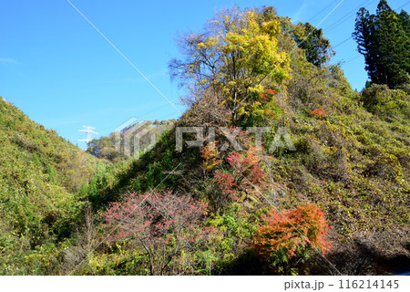 那倉川渓谷へ行きました　＃57 116214145