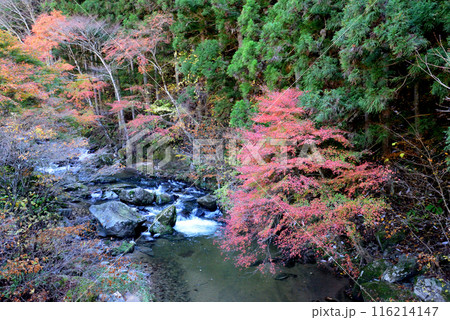 那倉川渓谷へ行きました　＃59 116214147
