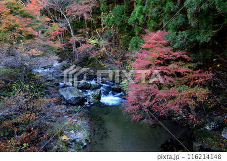 那倉川渓谷へ行きました　＃60 116214148