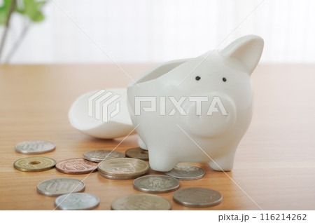 壊れた貯金箱とお金 壊れた貯金箱とお金 116214262