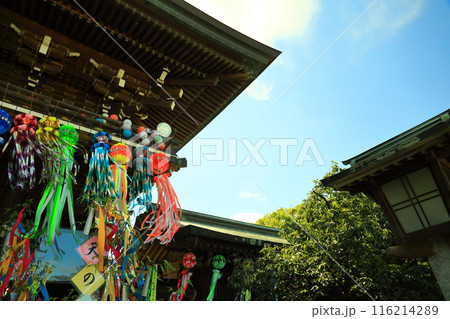 神社に飾られた短冊 116214289