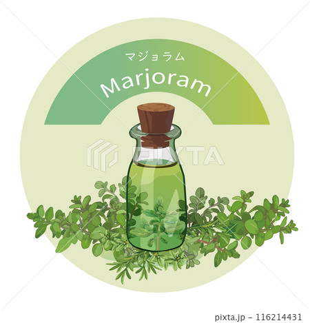 マジョラムとマジョラムの精油瓶・精油・アロマ・芳香植物のイラスト 116214431