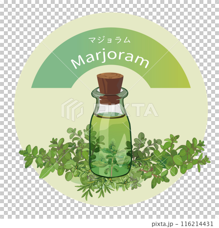マジョラムとマジョラムの精油瓶・精油・アロマ・芳香植物のイラスト 116214431