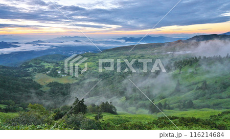 夏 志賀高原渋峠から望む朝焼けの白根山山麓 116214684