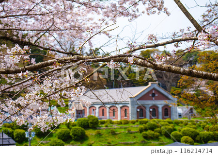 【京都風景】蹴上インクラインの桜 【京都風景】蹴上インクラインの桜 116214714