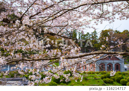 【京都風景】蹴上インクラインの桜 116214717