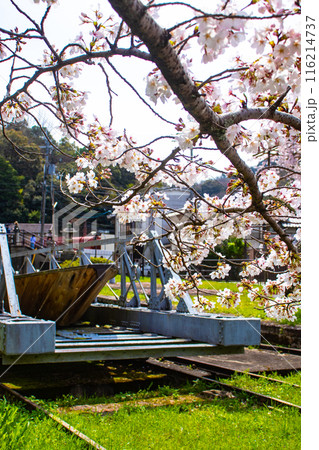 【京都風景】蹴上インクラインの桜 【京都風景】蹴上インクラインの桜 116214737