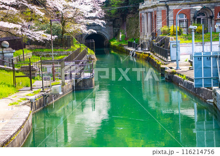 【京都風景】蹴上インクラインの桜 【京都風景】蹴上インクラインの桜 116214756