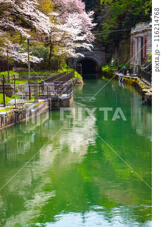 【京都風景】蹴上インクラインの桜 116214768