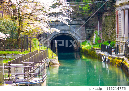 【京都風景】蹴上インクラインの桜 116214776
