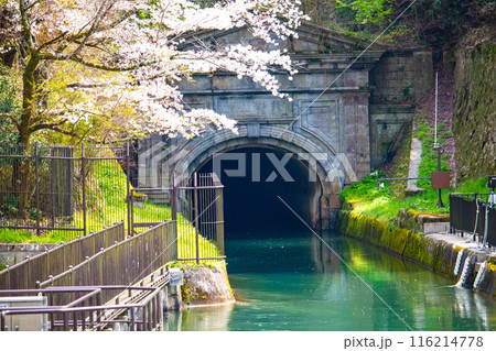 【京都風景】蹴上インクラインの桜 116214778