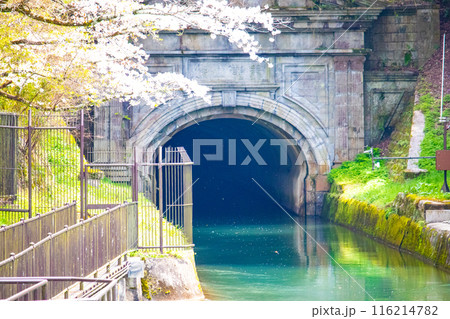 【京都風景】蹴上インクラインの桜 116214782