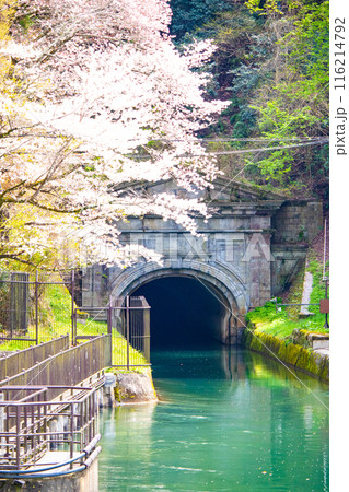 【京都風景】蹴上インクラインの桜 116214792