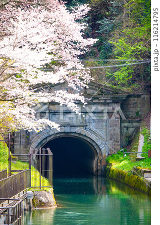 【京都風景】蹴上インクラインの桜 116214795