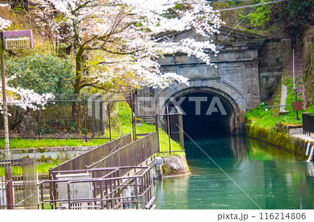 【京都風景】蹴上インクラインの桜 116214806