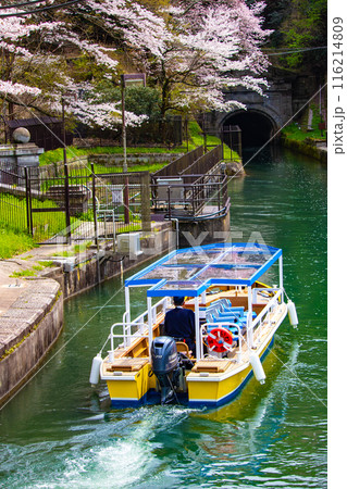 【京都風景】蹴上インクラインの桜 【京都風景】蹴上インクラインの桜 116214809