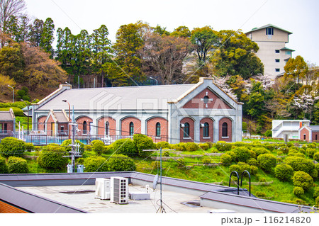 【京都風景】蹴上インクラインの桜 116214820