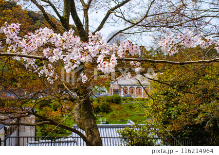 【京都風景】蹴上インクラインの桜 116214964