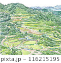 棚田のある風景 棚田のある風景 116215195