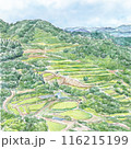 棚田のある風景 青空 棚田のある風景 青空 116215199