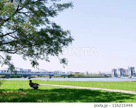 大阪　淀川　淀川河川公園でくつろぐ人と淀川水管橋、淀川大堰（長柄地区）（初夏） 116215449