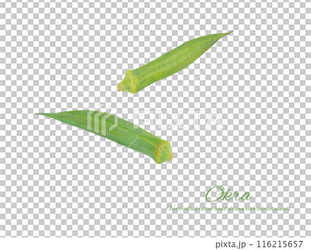 簡單的秋葵切圖素材 116215657
