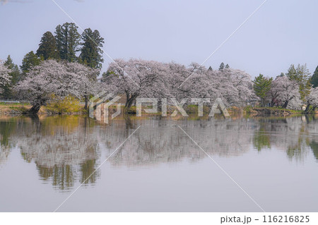 五郎沼 五郎沼 116216825