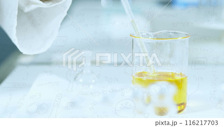 Image of chemical compounds and scientific formulas over beaker in laboratory 116217703