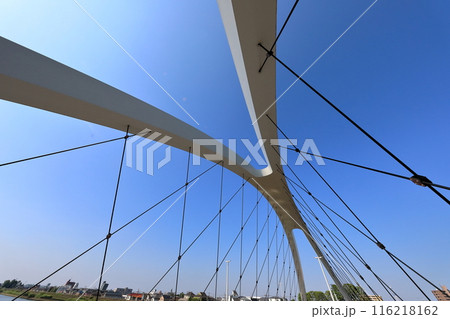 辰巳新橋(東京都江戸川区) 辰巳新橋(東京都江戸川区) 116218162