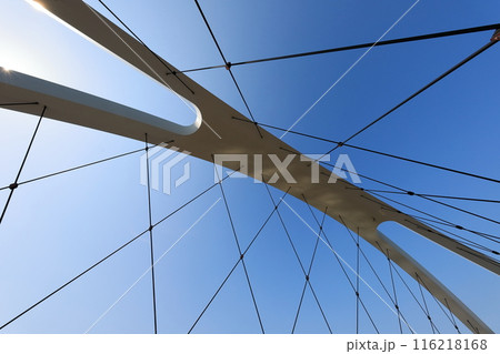 辰巳新橋（東京都江戸川区） 116218168