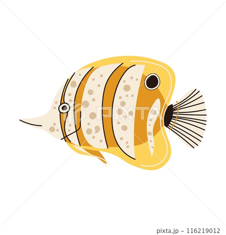 Hand drawn cartoon butterfly fish. Vector illustration of a tropical fish in doodle style. Suitable for decoration, sticker design 116219012