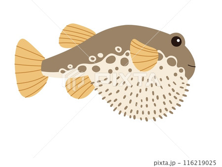 Hand drawn cartoon pufferfish. Vector illustration of a poisonous spiny fish in doodle style. Suitable for decoration, sticker design Hand drawn cartoon pufferfish. Vector illustration of a poisonous spiny fish in doodle style. Suitable for decoration, sticker design 116219025