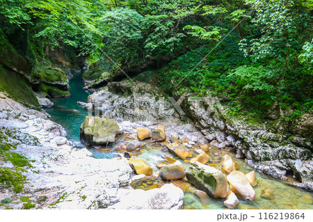 Martvili canyon in Georgia 116219864
