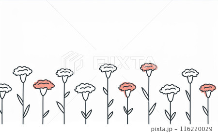 母の日イメージ　カーネーション 116220029